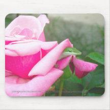 Lézard Mousepad 02 Tapis De Souris
