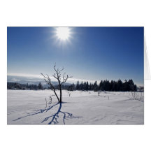 L'hiver dans la Forêt Noire Carte De Vœux