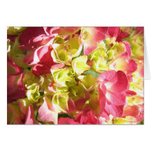 L'hortensia de Katie Cartes De Vœux