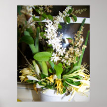 Li Thom Posters