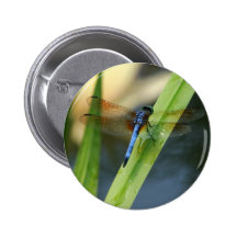 Libellule Badge