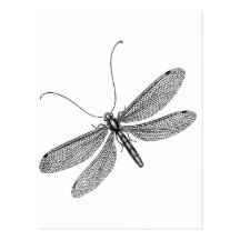 Libellule Carte Postale