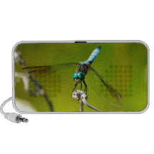 Libellule de turquoise haut-parleur notebook