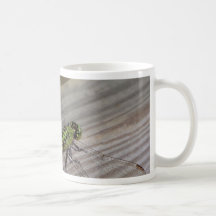 Libellule d'insecte tasses