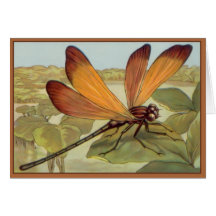 Libellule d'or carte de vœux