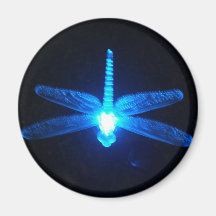 Libellule rougeoyante magnets pour réfrigérateur