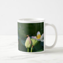 Libellule Tasses À Café