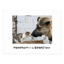 Liberté = libération carte postale