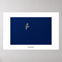 Liberté Poster