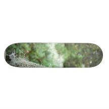 Lichens sur l'arbre skateboards personnalisés