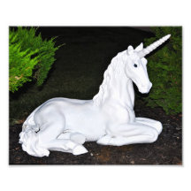 Licorne magique photos sur toile