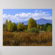 L'Idaho automnal Posters