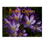 Lila Krokusse • Oster-Postkarte Cartes Postales