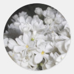 Lilas Autocollants