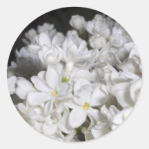 Lilas Autocollants