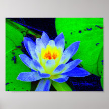 LiLLy Affiches