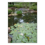 Lillypads Cartes