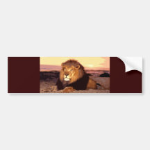 Lion Autocollants Pour Voiture