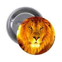 Lion Badges