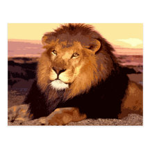 Lion Carte Postale