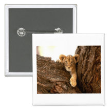 Lion CUB Badge Avec Épingle