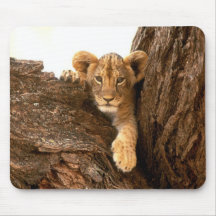 Lion CUB Tapis De Souris