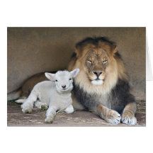 Lion et l'agneau cartes