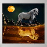 Lion par clair de lune affiche