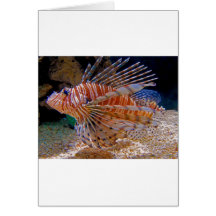 LionFish.jpg Cartes De Vœux