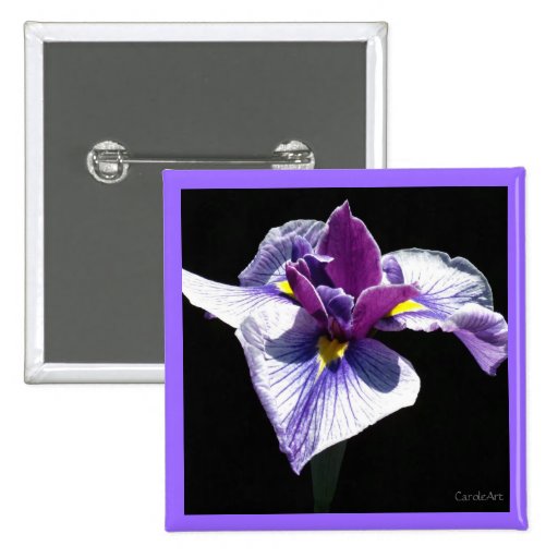 L'iris pourpre le plus bleu pin's avec agrafe