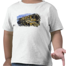 L'Irlande du Nord, comté Antrim, géant T-shirts