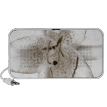 Lis asiatique mini haut-parleur