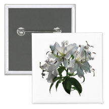Lis blancs badges avec agrafe