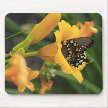 Lis de papillon tapis de souris