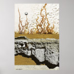 Lit de rivière par Gregory Gallo Posters