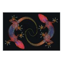 Lizzards jumeaux art photographique