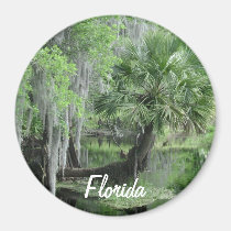 Ll d'aimant de la Floride magnets