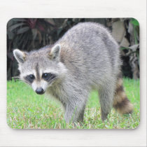 Lll de Mousepad de raton laveur tapis de souris