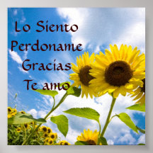 Lo Siento, Perdoname, Gracias, AMO de Te Posters