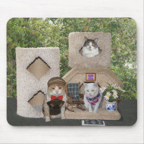 Logement drôle de Kitty de deux histoires tapis de souris