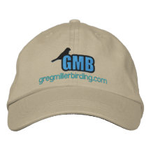 Logo 2x coloré par chapeau de base de GMB Casquette Brodée