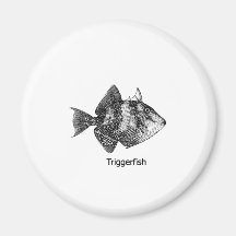 Logo gris de Triggerfish Aimant Pour Réfrigérateur