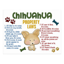 Lois 4 de propriété de chiwawa carte postale