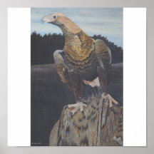 L'oiseau de prient affiches