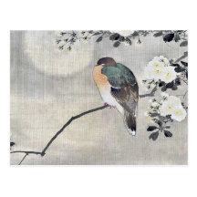 L'oiseau était perché sur une branche d'un arbre d cartes postales