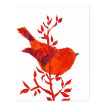 L'oiseau rouge le plus mignon sur la planète carte postale