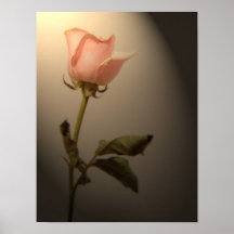 L'ombre s'est levée posters