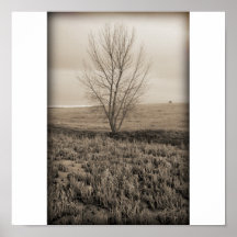 Lone.Tree Poster