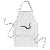 longs poissons tablier