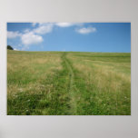 Longue maison de promenade posters